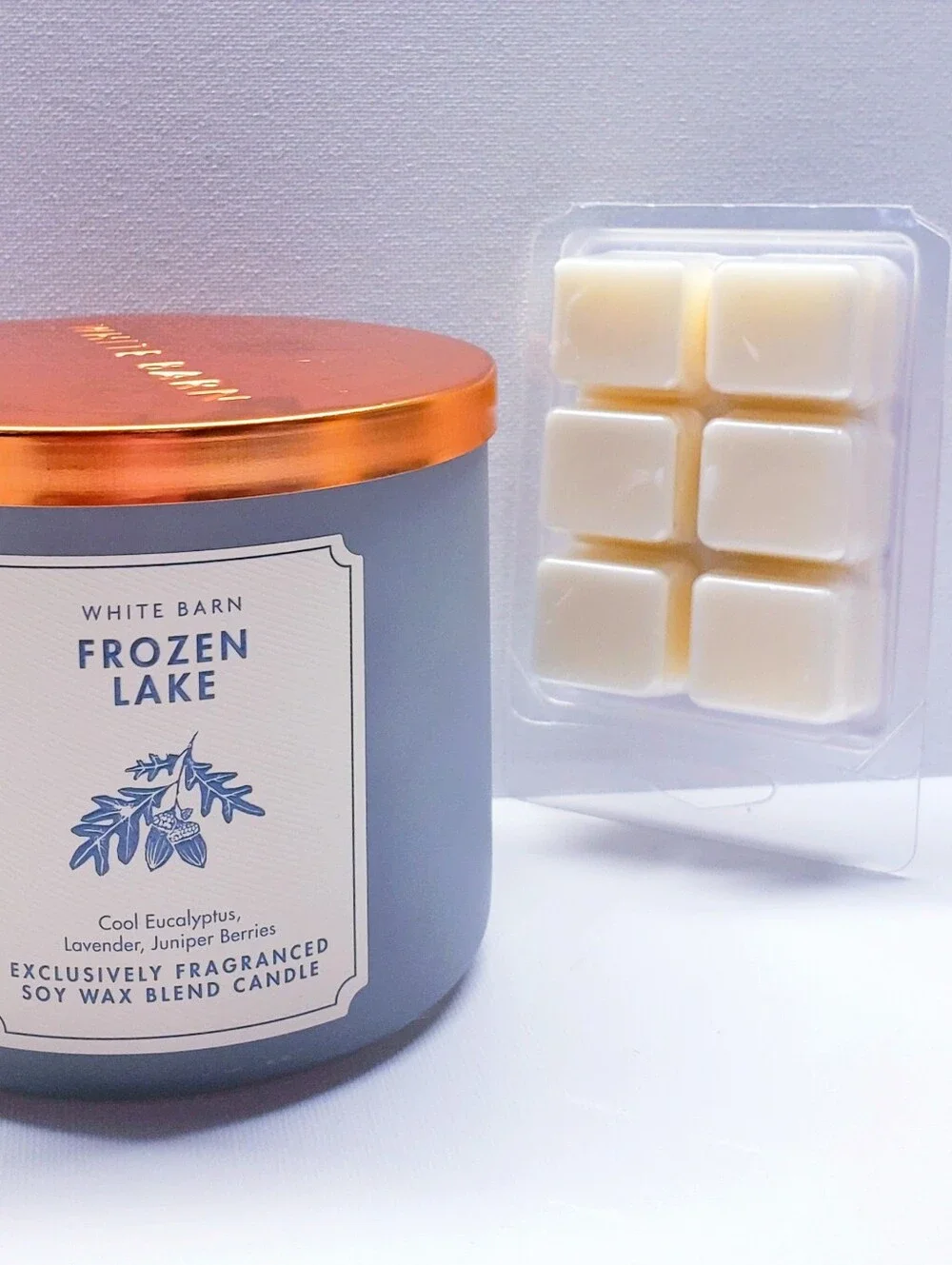 FROZEN LAKE -Bath & Body Works Candle Wax Melts- $8 per pack